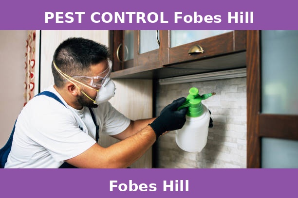 PEST CONTROL Fobes Hill